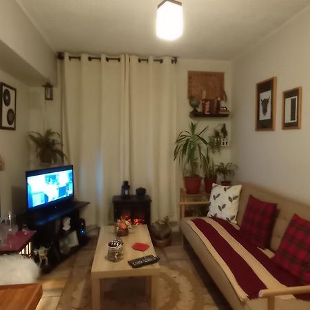 Apartament Dulce Hogar Santiago de Chile Zewnętrze zdjęcie