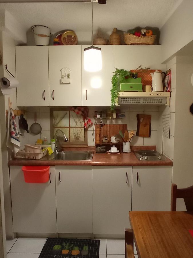 Apartament Dulce Hogar Santiago de Chile Zewnętrze zdjęcie