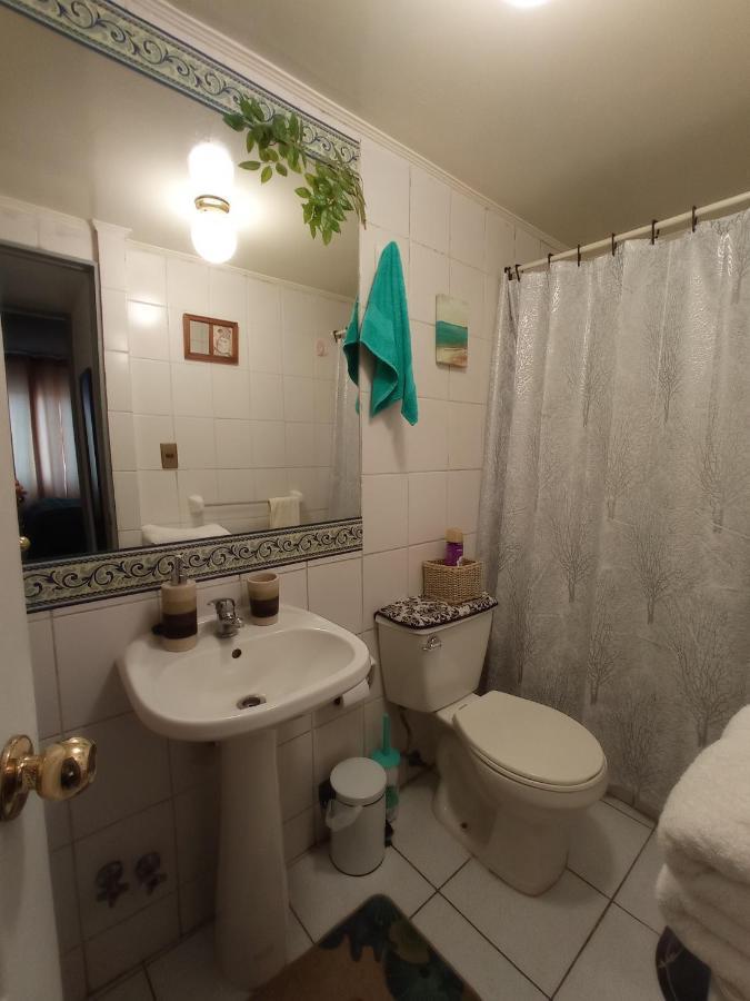 Apartament Dulce Hogar Santiago de Chile Zewnętrze zdjęcie